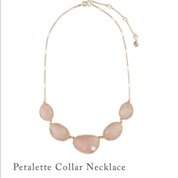 Chloe + Isabel Petalette Collar Necklace - Picture 4 of 5
